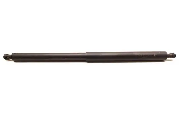 Tailgate strut