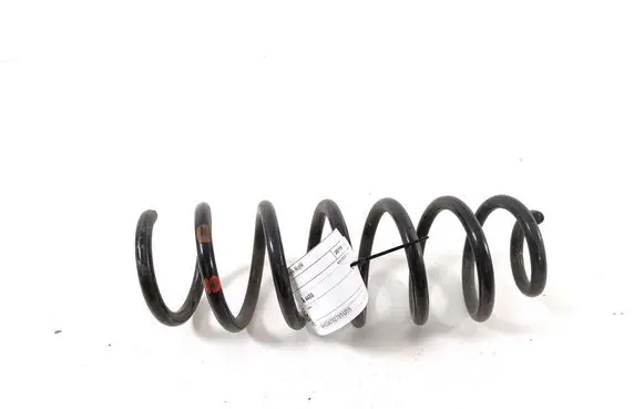 Rear coil spring