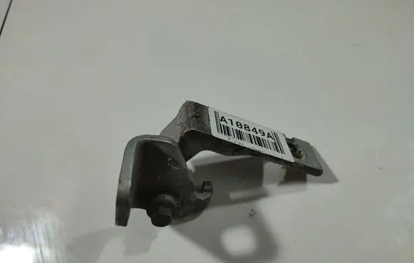 Rear door lower hinge