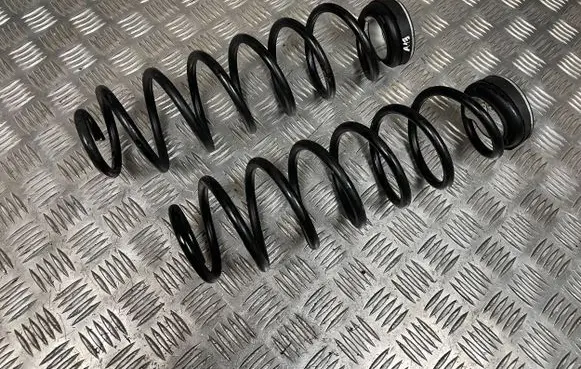 Peugeot 2008 II Rear coil spring 9834530680