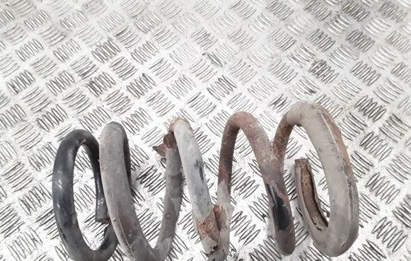 KIA Carnival Rear coil spring