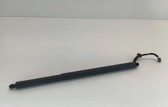 Tailgate strut
