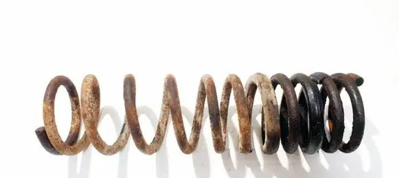 Rear coil spring