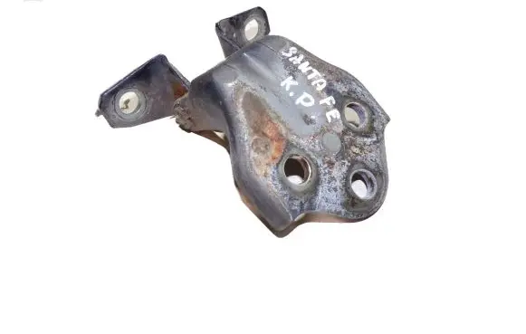 Hyundai Santa Fe Front door lower hinge 