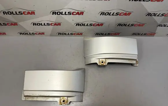 Rear/tail light trim molding