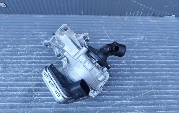 Renault Austral Water pump 210100445R