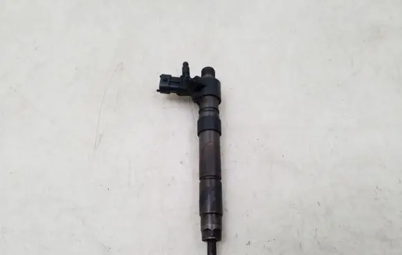 Land Rover Evoque I Fuel injector 9687454480