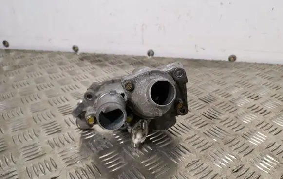Thermostat/thermostat housing