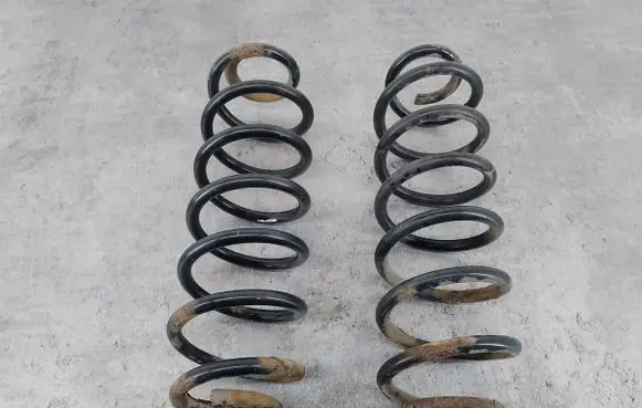 Skoda Roomster (5J) Rear coil spring 
