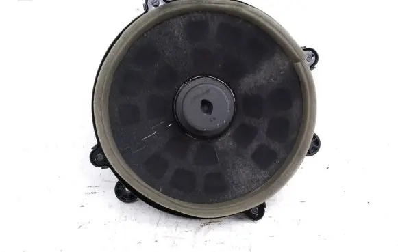 Cadillac CTS Front door speaker 15278539 289553003