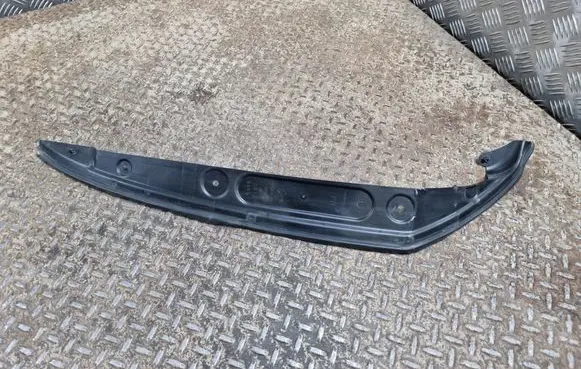 Dodge Challenger Other front door trim element 55399152AB