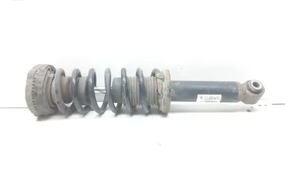 BMW X3 F25 Rear shock absorber with coil spring 6796317 33526796317