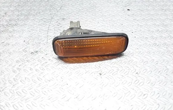Front fender indicator light