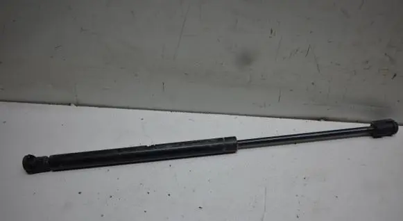 Tailgate/trunk strut/damper