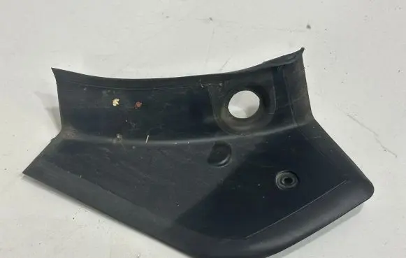 Rear/tail light trim molding