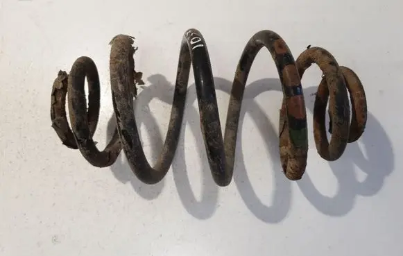 Rear coil spring
