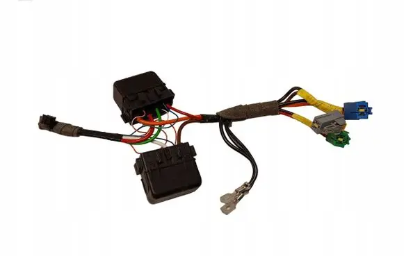 Renault Zoe Other wiring loom
