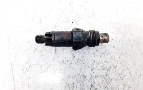 Citroen Berlingo Fuel injector lcr6735201d