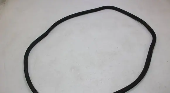 BMW X1 F48 F49 Rear door rubber seal (on body) 7349665