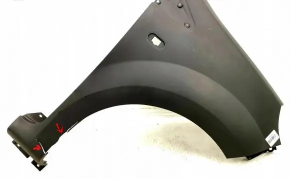 Renault Twingo II Fender 4481006