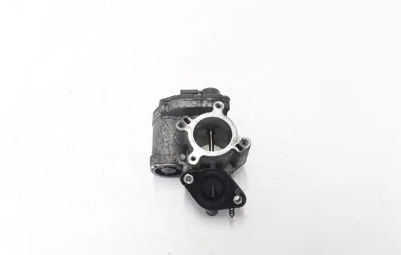 Renault Trafic II (X83) EGR valve A2C53179081