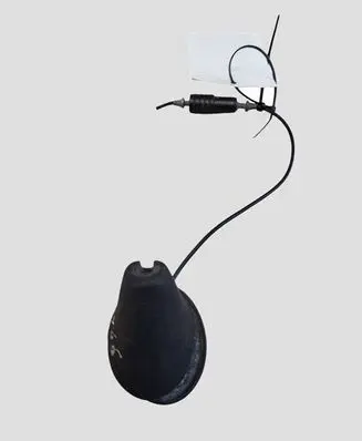Seat Leon (1P) Radio antenna