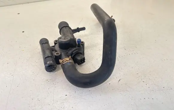 Renault Trafic II (X83) Thermostat 8200674369