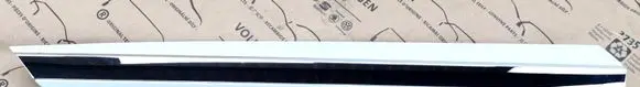 Rear door trim (molding)