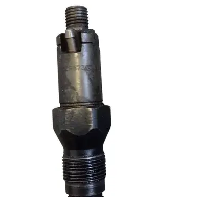 Citroen Berlingo Fuel injector LCR6736001