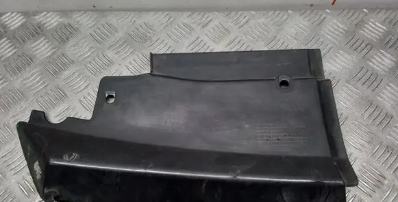 Engine bonnet/hood lock trim molding