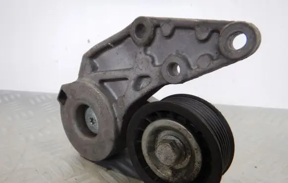 Volkswagen Phaeton Alternator belt tensioner 022145299B