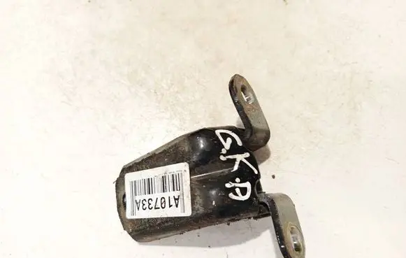 Nissan Murano Z50 Rear door lower hinge