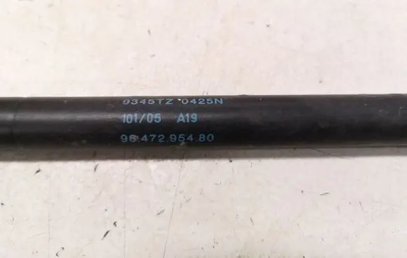 Citroen C4 I Tailgate/trunk strut/damper 9647295480 9645GZ0425N