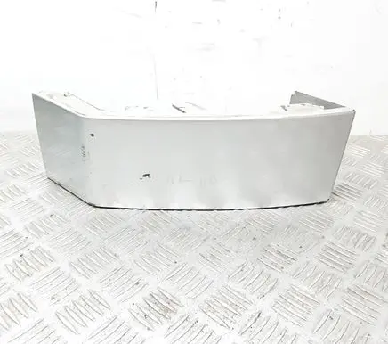 Rear/tail light trim molding