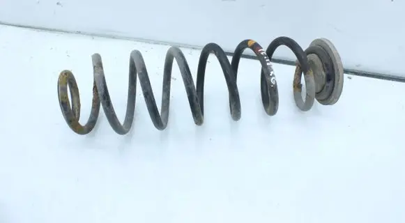 Skoda Yeti (5L) Rear coil spring