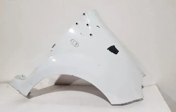 Renault Twingo II Fender 8200500431