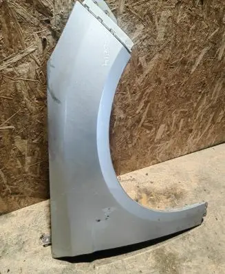 Ford Focus Fender