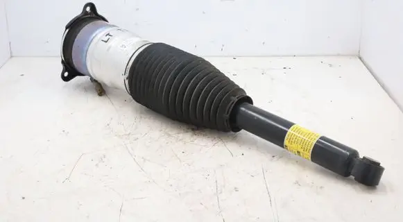 Tesla Model S Rear shock absorber/damper 6006352-00-C