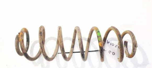 Rear coil spring