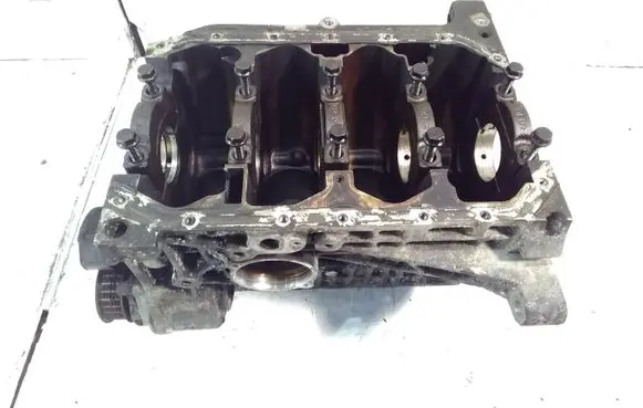 Skoda Roomster (5J) Engine block 030103019AC 030103019AE BXW
