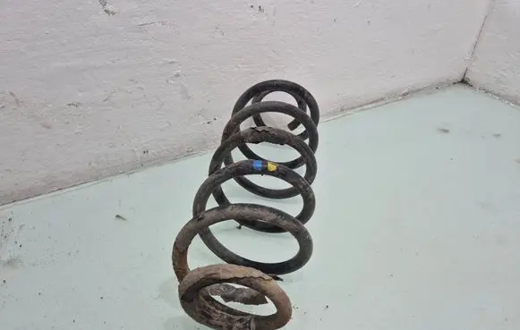 Volkswagen Golf Plus Rear coil spring 