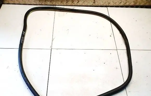 Citroen C5 Rubber seal front coupe door 