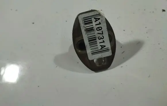 Volkswagen Golf V Rear door lock loop/hook striker 