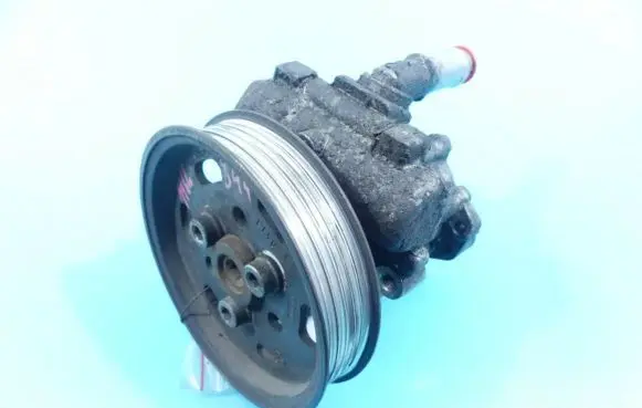 Electric power steering pump