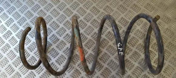 Front coil spring