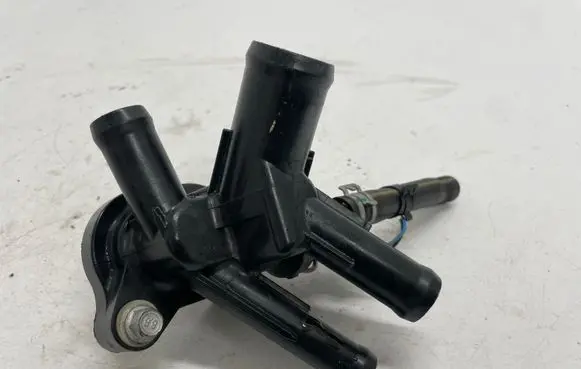 Thermostat/thermostat housing