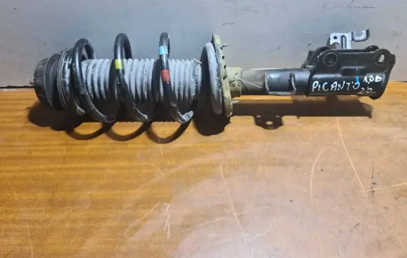 KIA Picanto Front shock absorber with coil spring 7192020