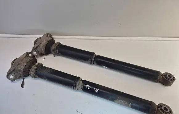 Rear shock absorber/damper
