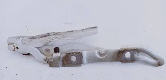 BMW 1 E82 E88 Tailgate/trunk/boot hinge 7166751