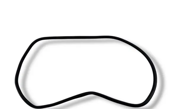 Cupra Born Front door rubber seal 10A867911